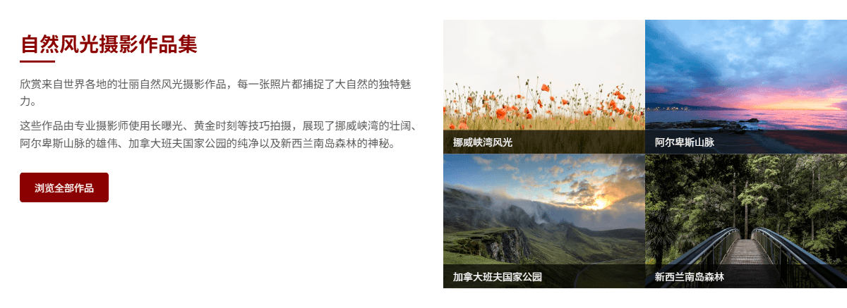 图文分区展示模板