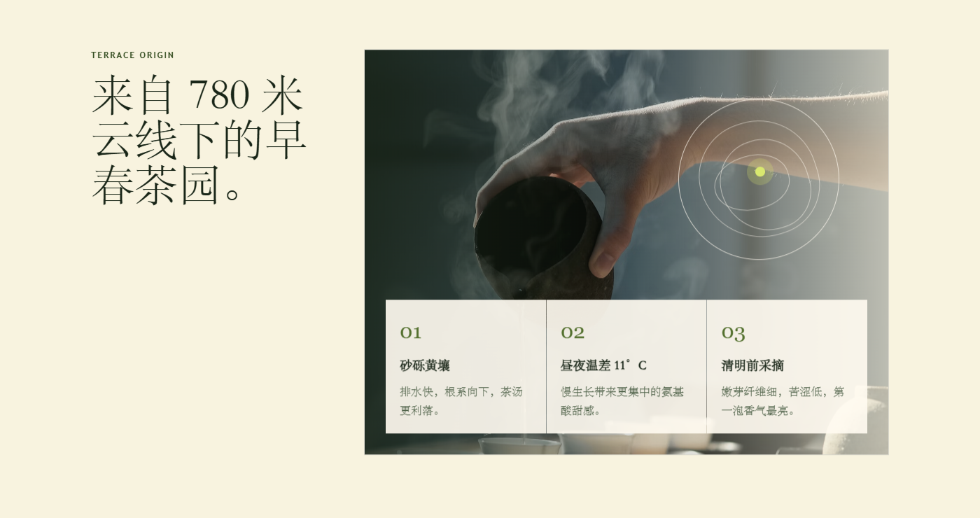 云线茶园模板预览