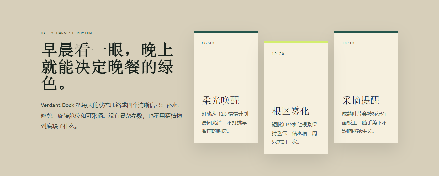 采摘节奏模板预览
